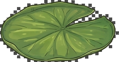 Lily Pad