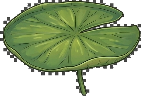 Lily Pad Large