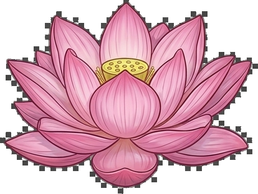 Pink Lotus